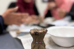 Departments of Psychology and Education participated in an engaging guest speaker session led by Ms. Shane Zainab (Associate Clinical Psychologist, Founder Healing Hub, PhD fellow)