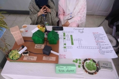 475882866_1070608565078930_4018833729214912271_n